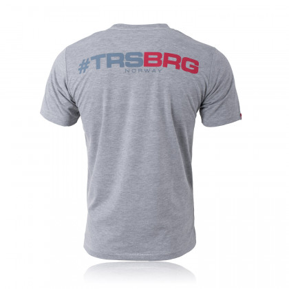 Norway 22 T-Shirt grey-melange